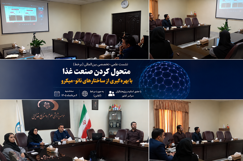متحول کردن صنعت غذا؛ با بهره گیری از ساختارهای نانو-میکرو
